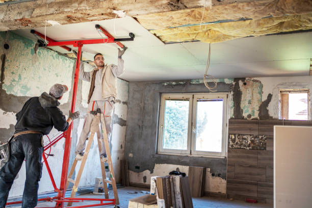 Best Eco-Friendly Insulation in Lower Burrell, PA