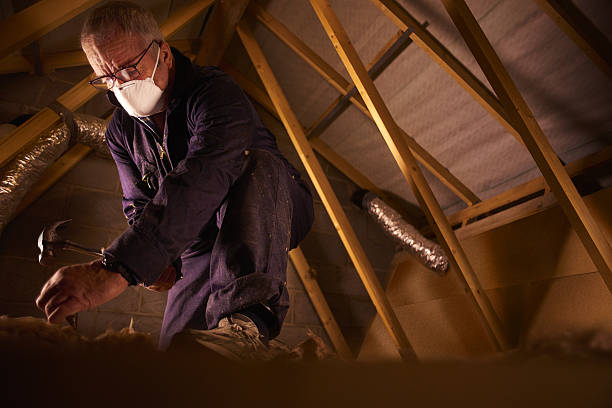 Best Fiberglass Insulation in Lower Burrell, PA